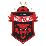 Wollongong Wolves